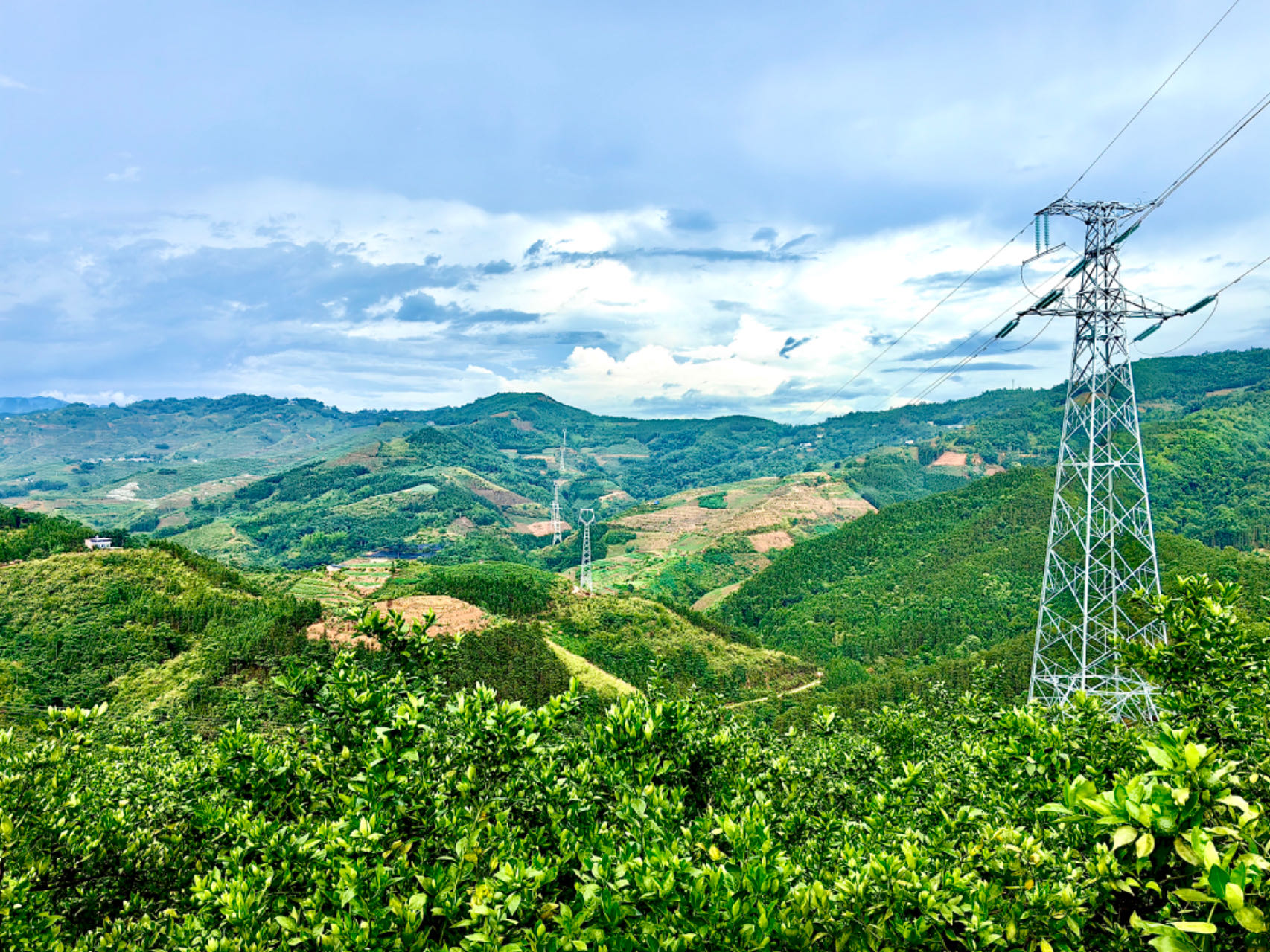 welcome-���ֲ�