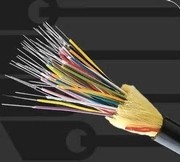 welcome-���ֲ�