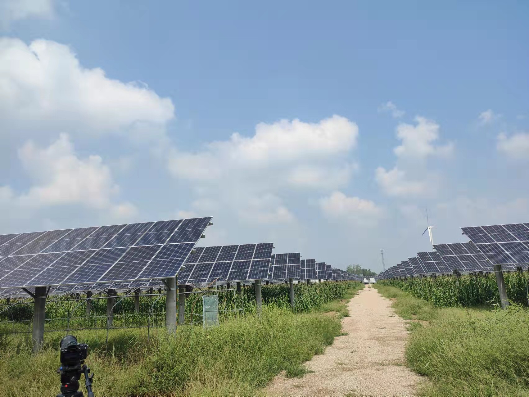 welcome-���ֲ�