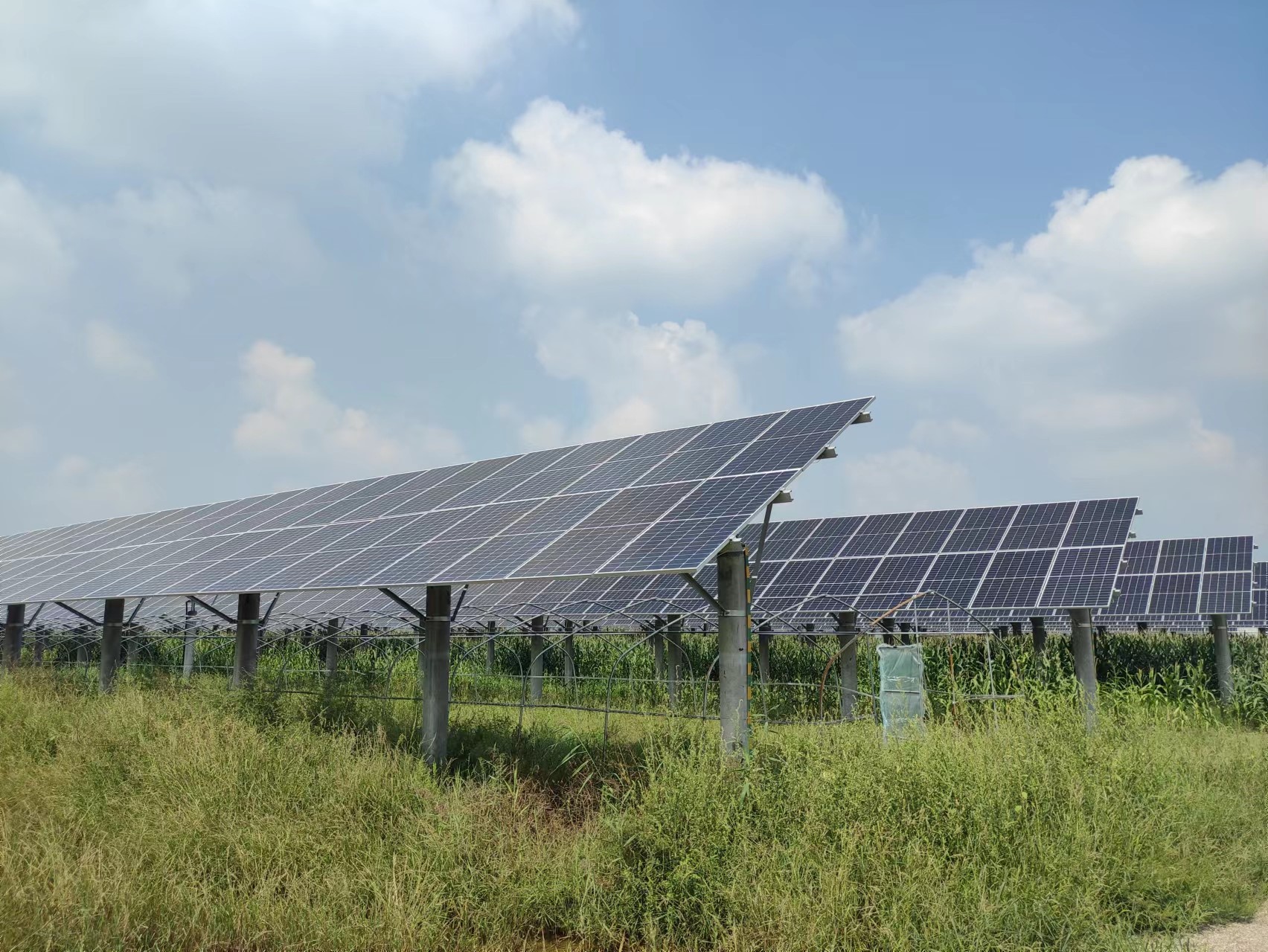 welcome-���ֲ�